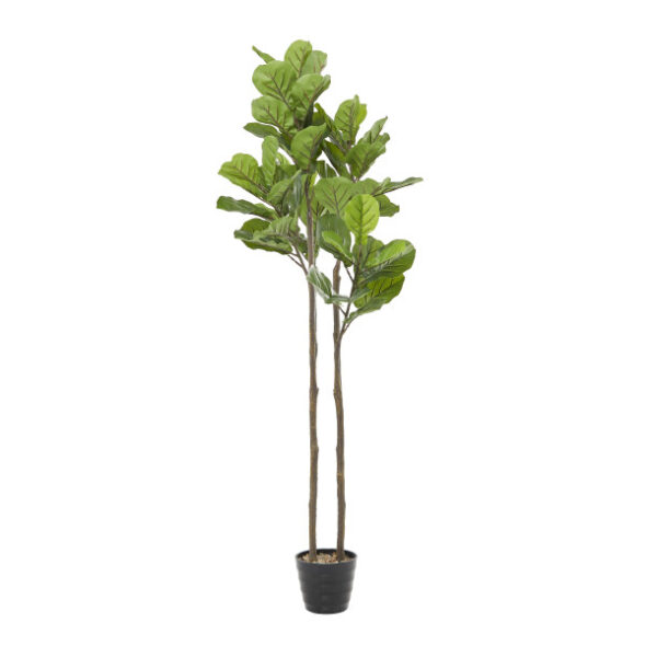 94047 Planta