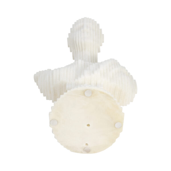 19805 Adorno - Image 7