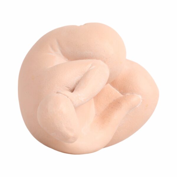 20463 Adorno - Image 6