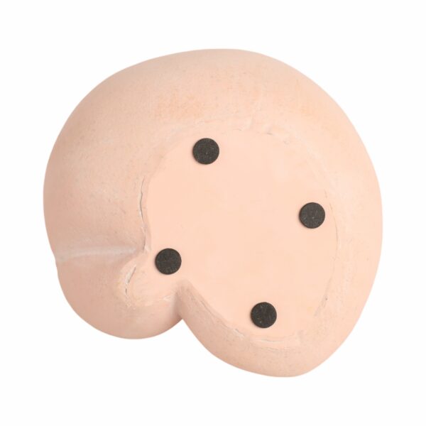 20463 Adorno - Image 7