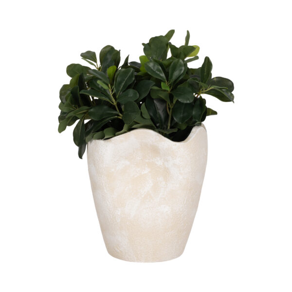 20753-01 Florero - Image 5