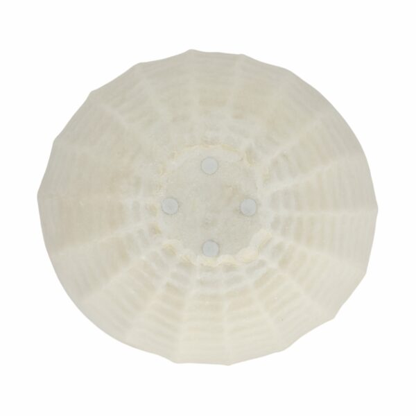 21441 Bowl - Image 7