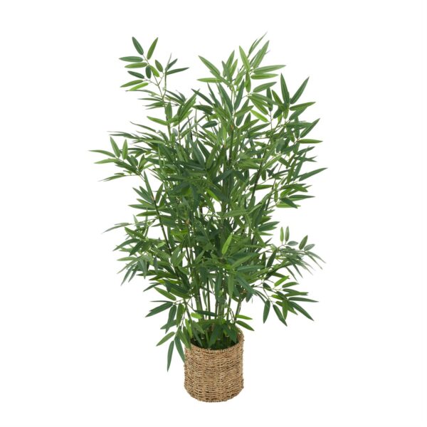 16978 Planta - Image 3