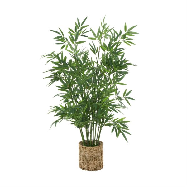 16978 Planta - Image 4