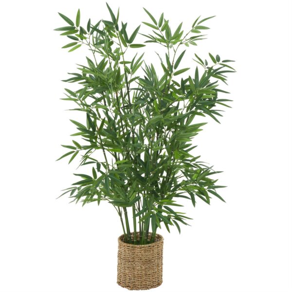 16978 Planta